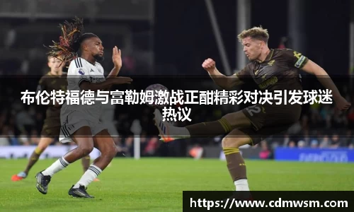 米兰布伦特福德与富勒姆激战正酣精彩对决引发球迷热议